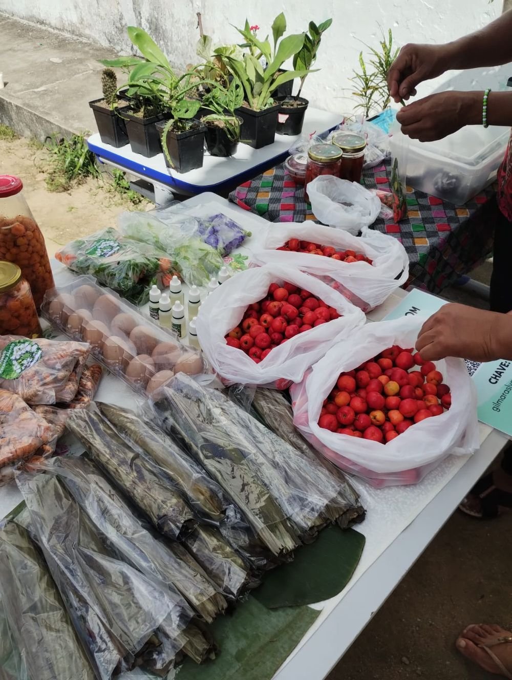 Feira Quilombola