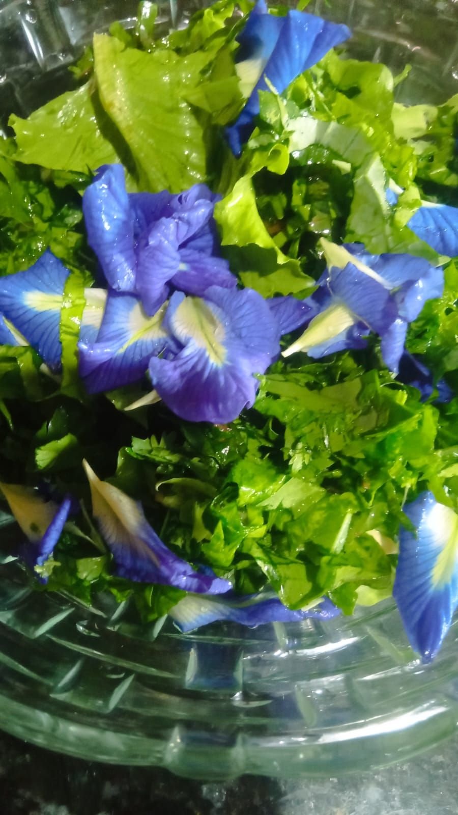 Flor de Clitória